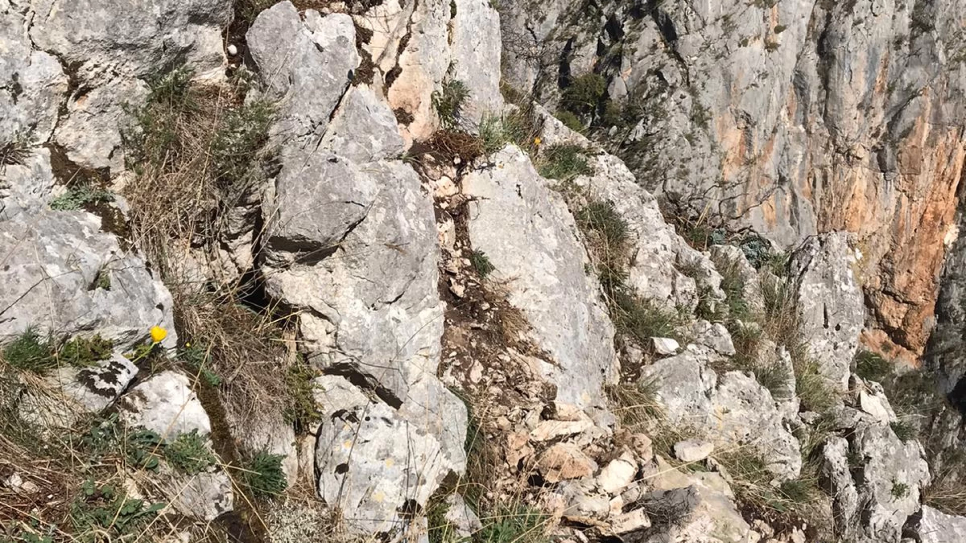 Anversa degli Abruzzi: caduta massi sulla strada 479 Sannite, intervento immediato della Provincia dell'Aquila.